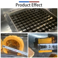 Fengxiang Elektrische Pompoen- en Fruit Snijmachine 1.3kw 220V Motor SUS304 RVS Aanpasbare Snijgroottes
