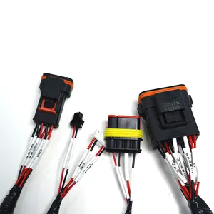 Manufacturer Complex Waterproof Auto Cable Harness Harness Cable Loom Assembly Car Auto Wire Harness