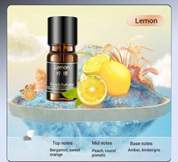 Recharge de parfum de voiture de 5ml Extraction de plantes liquides Huiles essentielles Diffuseur d'huile de parfum parfumé de luxe pour voiture