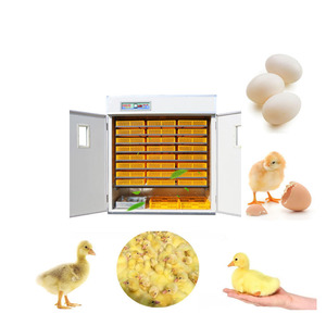 New Design Automatic Best Incubator for Chicken <b>Eggs</b> Best Fully Automatic <b>Egg</b> Incubator with High Quality - Product Image 1