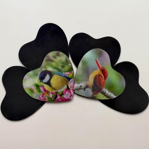 Magneti per Frigorifero 3D Lenticolari Personalizzati del Produttore di Guangzhou, Magneti 3D di Tigri e Animali per Decorazione Frigorifero - Product Image 5