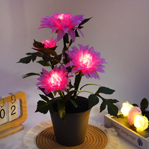 ไฟกลางคืนกระถางเรืองแสง (DAHLIA): ตกแต่งบ้านดอกไม้ประจำชาติของเม็กซิโกหรือที่เรียกว่าดอกลิลลี่แอซเท็กหรือดอกโบตั๋นดอกรักเร่ - Product Image 2