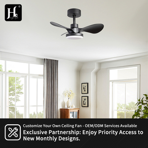 24-inch ABS-Blade <b>Ceiling</b> Fan <b>Light</b> with <b>Remote</b> <b>Control</b>, LED <b>Ceiling</b> Fan, Decorative <b>Ceiling</b> Fan with <b>Light</b> - Product Image 4