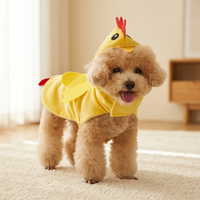 Costume d'Halloween pour animaux de compagnie, tenue amusante de poussin pour chiens, manteau en velours cristal doux, vêtements pour chiens toutes saisons, vente en gros