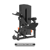 Usine Gym Fitness Equipment Pin Loaded Selectorized Back Extension Machine Select Back Extension avec Hyperextension Exercise
