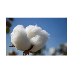Algodón de alta calidad, precio al por mayor, algodón crudo de fabricación india