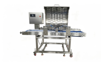 Machine à trancher la viande entièrement automatique en acier inoxydable 304 avec moteur, étanche IP67, capacité de 1200 kg/h, QPJ200H
