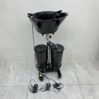 Wallybeauty Bac à shampoing portable avec 2 seaux, lavabo mobile pour le lavage des cheveux