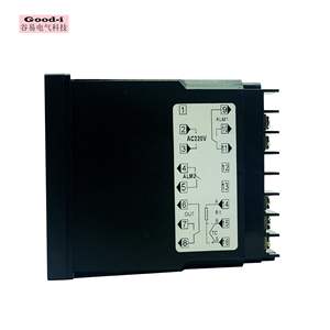 Contrôleur de température intelligent RKC REX-C900 avec sortie relais, interrupteurs à température contrôlée (TDS) - Product Image 5