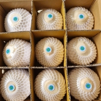 Premium kokosnootpulp, makkelijk te openen ringtrekker, diamantgeslepen, half-ontpitten jonge kokosnoot, direct drinkbaar, 100% vers en zoet