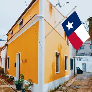 3x5Ft 텍사스 깃발 폴리에스터 원단 두 개의 황동 그로밋 단층 벽 매달려 야외 및 실내 장식