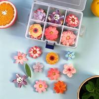 Bunga Kertas yang Dapat Dimakan untuk Dekorasi Kue, Campuran Warna Pink, Bunga Sakura untuk Hiasan Cupcake
