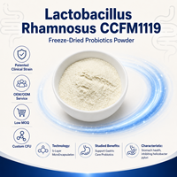 Poudre Probiotique OEM de Lactobacillus Rhamnosus CCFM1119 à Haute Viableté pour la Santé Gastrique – Formulations de Compléments Alimentaires