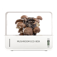 Kit de cultivo de semillas de hongos frescos