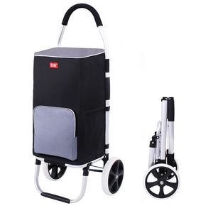 Chariot de Courses Pliable Robuste Capacité 50 kg avec 2 Roues et Grand Sac Isotherme - Product Image 1