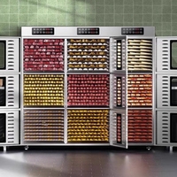 Commerciële voedseldroger met 90 lagen, fruitdehydrator voor mango, appel, banaan, landbouwverwerking, roestvrijstalen droogmachine