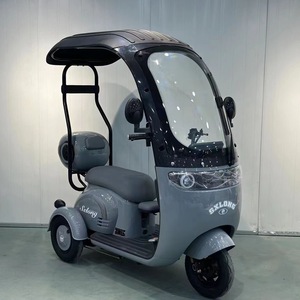 Canopy điện xe ba bánh với tải 600W Điện hàng hóa xe điện với điều khiển từ xa - Product Image 2