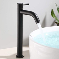 Robinet de lavabo en acier inoxydable 304, robinet d'eau froide simple, robinet à poignée unique, robinet de lavabo de salle de bain
