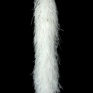 Bas <span class=keywords><strong>prix</strong></span> 5PLY bande de plumes d'<span class=keywords><strong>autruche</strong></span> teinte plume d'<span class=keywords><strong>autruche</strong></span> moelleux doux plume d'<span class=keywords><strong>autruche</strong></span> décorative - Product Image 2