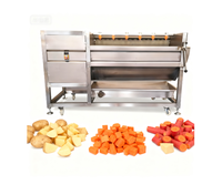 Industriële commerciële fruit- en groentewasmachine met motor en aandrijving, multifunctionele reinigingsapparatuur