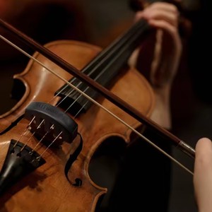 Améliorer 2 pièces Style de griffe et 2 pièces <span class=keywords><strong>Tourte</strong></span> ronde 4 pièces en caoutchouc violon muet violon silencieux quatre pièces ensemble pratique - Product Image 4