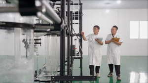 Dieselpartikelfilter DPF für FORD TRANSIT LWB VO 2.2L CVR5 DOHC 2014-2020 - Product Image 3