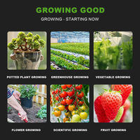 Testeur numérique de sol 4 en 1 avec pH, humidité, température, et mesure de la lumière pour les plantes de jardin et de ferme