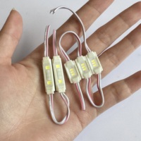 Module LED Mini Haute Luminosité IP65 Étanche DC12 SMD 3014 3 Puces CE Rohs pour Signalisation Extérieure et Petites Lettres de Canal
