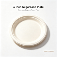Assiettes jetables rondes en bagasse de 6 pouces, compostables, pour les collations et desserts de fête