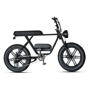Chất lượng tốt nhất Trung Quốc nhà sản xuất nhỏ Xe đạp điện xe máy