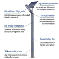 Lampadaire solaire longue durée avec panneau monocristallin LED IP66 pour usage extérieur