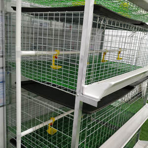 <span class=keywords><strong>Cage</strong></span> de batterie de ferme légère à 3/4 couches <span class=keywords><strong>Cage</strong></span> de poulet de chair commerciale <span class=keywords><strong>Cage</strong></span> de poulet de chair à densité plus élevée Nigéria - Product Image 4