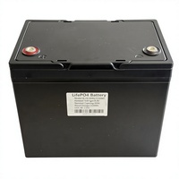 Batterie LiFePO4 rechargeable personnalisable de remplacement pour batteries au plomb 12,8 V 20 A 25 A 30 A
