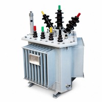 Transformateur de distribution triphasé immergé dans l'huile S13-MR-30/10 avec noyau en fer empilé et conception étanche