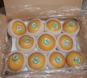 Vàng Lê Trái Cây Tươi Sơn Đông Lê Nhà Cung Cấp Bán Buôn Đầu Su Lê Xuất Khẩu - Product Image 5