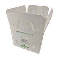 Emballage pour légumes Yuexin Greenbeans, boîte en plastique Coroplast empilable, imperméable, réutilisable, recyclable, en PP ondulé