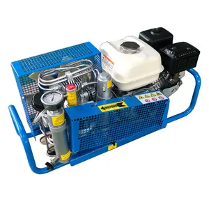 Compressore aria sub, compressore immersione, scuba diving compressore( GX- 100p)