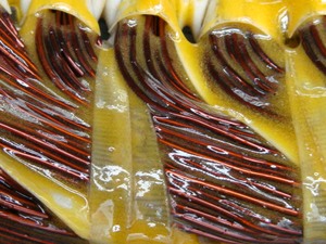 Stamford <span class=keywords><strong>Alternator</strong></span> Đầu Máy Phát Điện Rotor Chính - Product Image 3