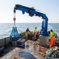 Maßgefertigter Bootskran Kleiner 10-Tonnen-Faltkran für Marine-Decks mit Winde und Hydraulikaggregat für Barge- und Offshore-Einsätze