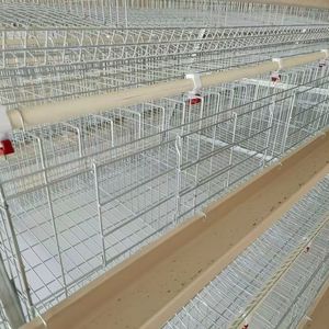 Jaula para Aves de <span class=keywords><strong>Corral</strong></span>, Gallinero Comercial, Jaula para Pollos, Casa de Gallinas, Criadero de Gallinas - Product Image 5