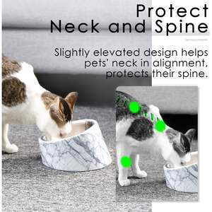 Bol incliné SuperDesign pour chien et chat, 0,5 tasse, antidérapant, pour animaux de compagnie - Product Image 6