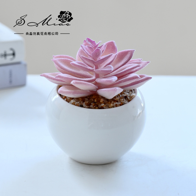 SKU_12