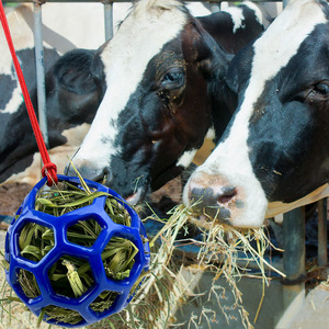 Balle à friandises pour chevaux en TPR durable et moderne, mangeoire suspendue pour foin, jouet d'enrichissement pour stalles, anti-ennui avec corde, rouge, bleu, vert - Product Image 6