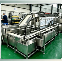 Ligne de traitement personnalisée pour œufs de caille, équipement complet de production pour la cuisson, le lavage et le pelage des œufs de caille