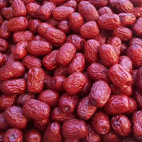 Meilleures dates saines Fabricant de grandes dattes rouges naturelles fournissant des dattes rouges douces de haute qualité