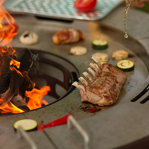 Grill moderne à grande capacité certifié CE avec kit de rôtisserie pour griller et fumer le poulet entier, combustible bois de chauffage - Product Image 3