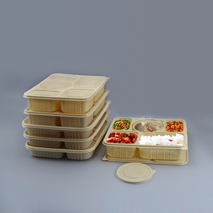 Fast Food Biodegradable <b>Disposable</b> <b>Lunch</b> <b>Boxes</b> Eco-Friendly and Quick for Meal Storage - Product Image 2