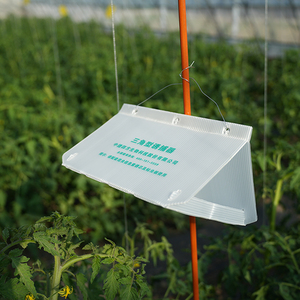 Piège à mites en plastique delta piège à mites <span class=keywords><strong>jackson</strong></span> piège à mites - Product Image 1