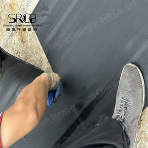 Factory Custom Best Price Steel Conveyor Belt <strong>Wheel</strong> EP375/3 Rubber Skirt with Durable <strong>Nylon</strong> Polyester PVC PU Plastic Material - Product Image 3