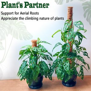 Poteaux de soutien flexibles en fibre de coco et fil d'aluminium pour plantes grimpantes – Fournitures de jardin en gros - Product Image 4